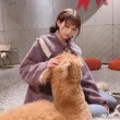 凉凉子爱心护理cos摄影作品,带你领略不一样的美